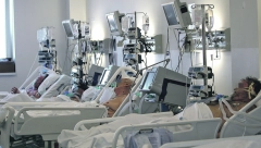 "IMAMO DOKUMENTA, KORISTILI SU SLEPE MIŠEVE" Ruski načelnik objavio: SAD su od 2016. vršile eksperimente sa koronavirusom