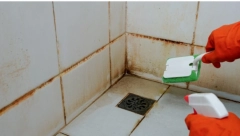 TRIK KOJI SVE DOMAĆICE DELE Pojavila joj se užasna buđ u tuš kabini, a ona je uništila bez pola muke