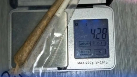 PAO ZBOG DILOVANJA Policija  mu u stanu  pronašla  marihuanu i vagicu