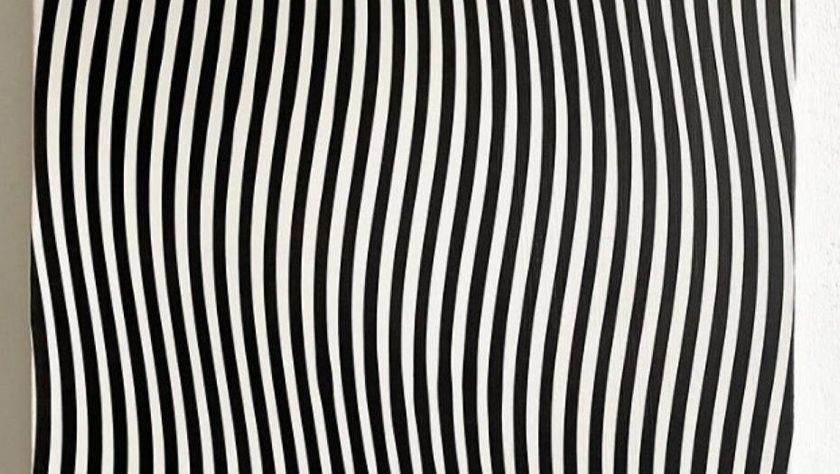 ŠTA SE KRIJE IZA OVIH LINIJA Samo osobe sa visokom inteligencijim će udmah ugledati uljeza