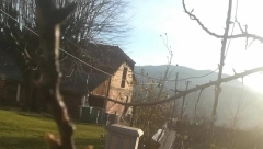 U SRBIJI ČUDO PRIRODE USRED ZIME Dragan obišao voćnjak pa ostao u šoku, domaćina ovo strašno brine (FOTO)