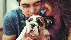 DA LI SE SLAŽETE? Istraživanje tvrdi da je briga o kućnom ljubimcu stresnija od ljubavne veze!
