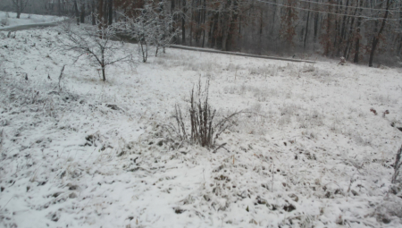 ŠTA JE SAD OVO? Danas je na Fruškoj gori osvanula ova neverovatna skulptura od snega (FOTO)