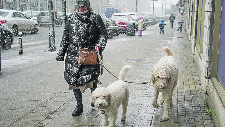 BLAGA VARIJANTA ZIME Meteorolog Todorović: Bez ledenih dana i u februaru