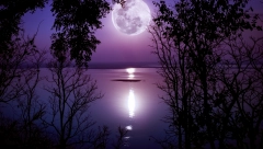 HOROSKOP ZA SUBOTU, 28. JANUAR Blizanci u strahu od raskida, Vagi iskrsavaju nepredviđene poteškoće, Vodolija ostaje kratkih rukava