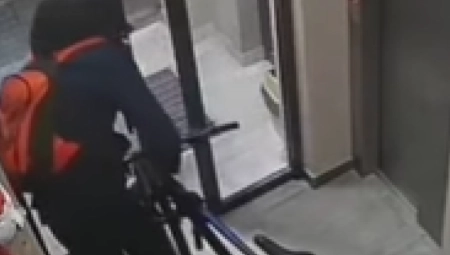 JEDAN DETALJ BIO DOVOLJAN DA SRBI U BEČU PADNU NA DELU! Evo kako je policija provalila četvoricu lopova