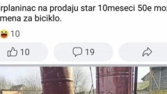 ŠOK! Prodajem psa za 50 evra, može i zamena za bicikl