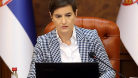 SJAJNE VESTI ZA SRBIJU Brnabić: Cilj smo ispunili, nema praznih priča, samo rad i borba!