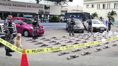 BIVŠI SUDIJA IZ EKVADORA OSUĐEN Srpskom Eskobaru smanjio kaznu jer čita knjige!