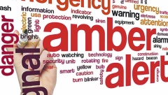 BOROJEVIĆ: Amber alert u Srbiji do kraja aprila