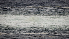 RUSKA AMBASADA OPTUŽUJE AMERIČKE MEDIJE Zataškavaju informacije o eksplozijama na Severnom toku