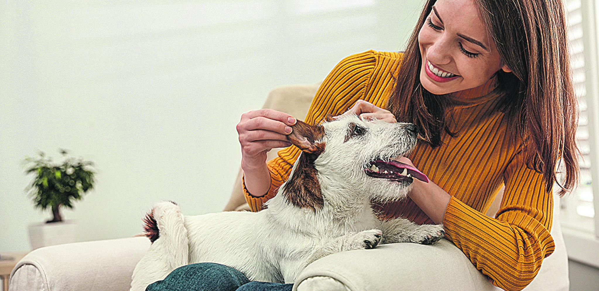 Osnovni razlozi koji mogu da pokažu da niste spremni ni sposobni da budete vlasnik psa