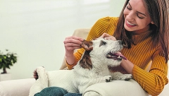 Osnovni razlozi koji mogu da pokažu da niste spremni ni sposobni da budete vlasnik psa