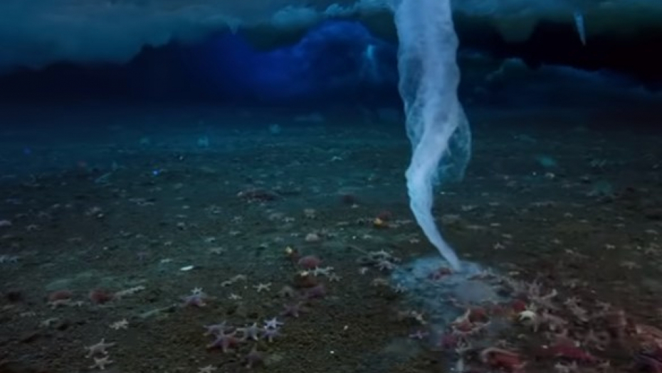 JEZIVA TAJNA MORSKOG DNA Neverovatni snimci od koji se diže kosa na glavi (VIDEO)