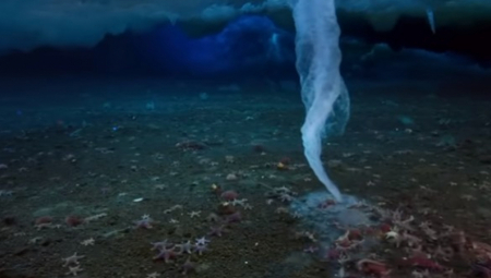 JEZIVA TAJNA MORSKOG DNA Neverovatni snimci od koji se diže kosa na glavi (VIDEO)