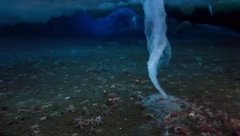 JEZIVA TAJNA MORSKOG DNA Neverovatni snimci od koji se diže kosa na glavi (VIDEO)