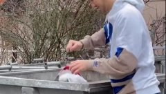 ROVARI PO KONTEJNERU Popularni mladi pevač uhvaćen kako pretura po smeću, šokantan prizor frapirao fanove (FOTO)