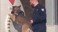 U KOMBIJU PRONAĐENO 1.500 KUTIJA VREDNIH PREKO MILION DINARA Muškarac uhapšen nakon što je pokušao ovo da preveze preko granice