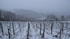 VELIKI TEMPERATURNI ŠOK Zabeleće se ovi delovi Srbije