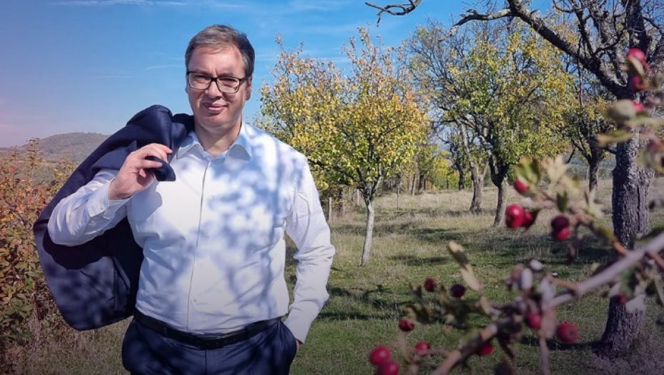 "MIRIŠE ZEMLJA, MAMI HLAD" Predsednik Vučić objavio pobednika! (FOTO)
