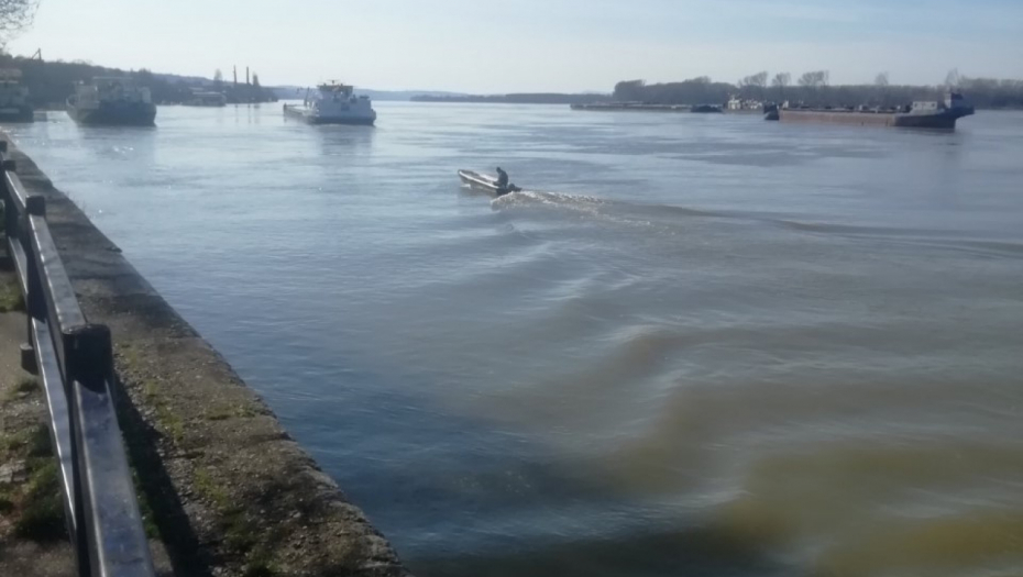 OVAKO IZGLEDA NAFTNA MRLJA NA DUNAVU Prva fotografija ekološkog incidenta kod Novog Sada (FOTO)