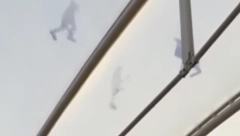 BEOGRAĐANI U ŠOKU ZBOG SNIMKA IZ TRŽNOG CENTRA Svi pitaju jedno: ''Gde su roditelji?!'' (VIDEO)