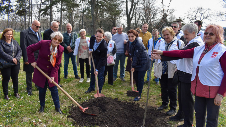 Stefan Krkobabić: Dren – simbol zdrave i prosperitetne Srbije!