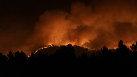 DIRLJIVA PORUKA GRČKOG VATROGASCA Hvala Srbijo - Popodne ćemo zaokružiti 35 sati kako smo budni (FOTO)