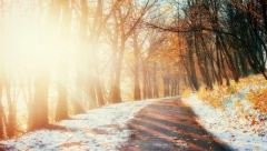 NARODNO VEROVANJE O SUNČANOM FEBRUARU Ima višestruko značenje, neće vam se svideti