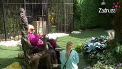 DOBILI SU NOVU ŠANSU Miljana i Zola shvatili zbog čega im je propao zadatak, pa dobili priliku da se iskupe