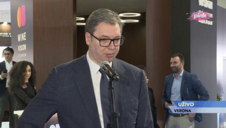 PREDSEDNIK O ODLASKU VUČIĆEVIĆA U ZATVOR Šestoro dece Dragane imaš, mislim da imaš obavezu da brineš o njima