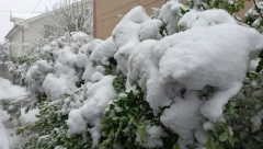 LJUDI, ŠTA SE OVO DEŠAVA?! U Sloveniji počeo da pada sneg! (FOTO)