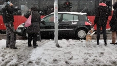 SNEG U SRBIJI OD OVOG DATUMA Povratak zime i temperatura u minusu, a evo šta nas čeka za prvomajske praznike