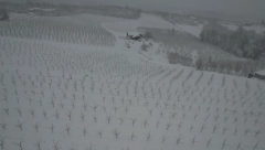 SVE JE UNIŠTENO Sneg i led potpuno će desetkovati rod šljiva u ovom delu Srbije (FOTO)