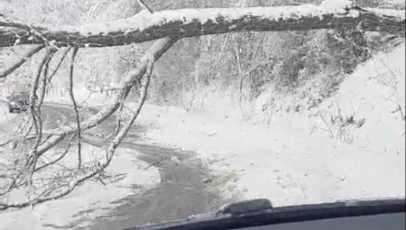 SNEŽNA BOMBA STIŽE U EVROPU ZA SAMO NEKOLIKO DANA: U Hrvatskoj upaljeni meteo alarmi, najviši stepen upozorenja zbog JEDNE POJAVE