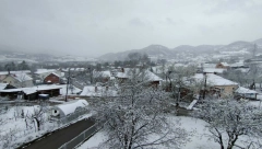 Drveće padalo na decu, šleperi sletali s puta!