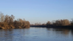 TRI DRUGA IMALA NEVEROVATAN ULOV NA OBALI ĐETINJE Nastavnica im neće verovati kad čuje kako su proveli raspust (FOTO)