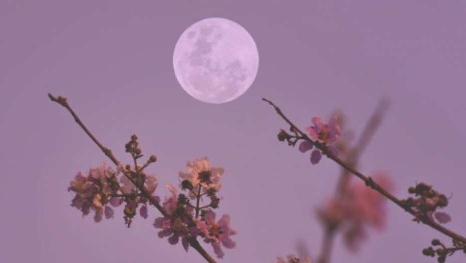 HOROSKOP ZA SUBOTU, 8. APRIL Strelcu prilika za romantično veče, Devici maja zarada, Bik otkriva ko mu radi iza leđa