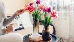 ZA USKRS MORA DA BUDE NA VAŠEM STOLU Veruje se da ovo cveće tera zlo, a donosi uspeh