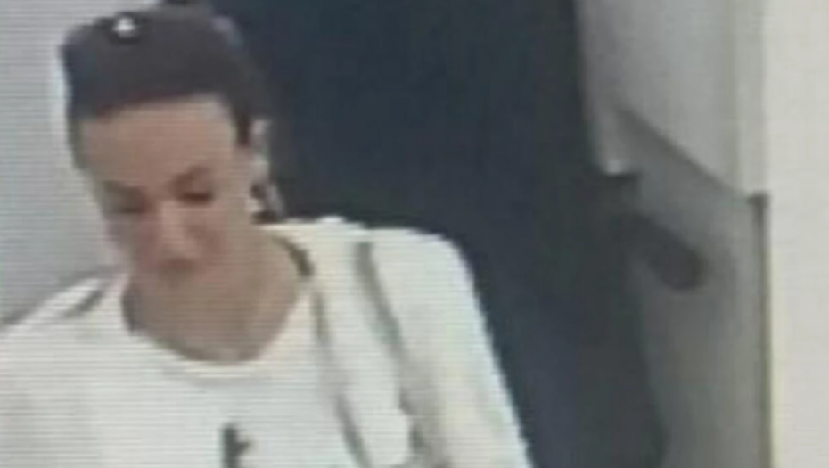 IZ BANKE UKRALA 1,3 MILIONA DOLARA Crnogorska policija tvrdi: "Prevarantkinji pomogao klan iz susedne države" (FOTO)