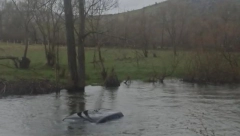 ZASTRAŠUJUĆI PRIZOR KOD SJENICE! Iz reke samo viri krov automobila!