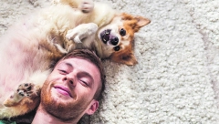 OPASNOST ZA LJUBITELJE ŽIVOTINJA Veterinarka otkriva zašto psi ne bi trebalo da spavaju s ljudima u krevetu