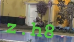 GUŠILA SE NA ZVEZDANOVIM RUKAMA Slavnić dozivao pomoć dok  je pridržavao Miljanu