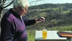 AKO URADITE OVO, MЕD ĆE SE PRETVORITI U ČIST OTROV Zbog jedne greške najzdravija namirnica postaje opasna po zdravlje