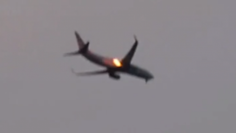 GUSKE NAPALE AVION! Svi su se uspaničili i počeli da se mole