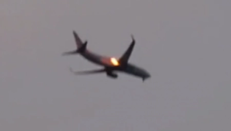 GUSKE NAPALE AVION! Svi su se uspaničili i počeli da se mole