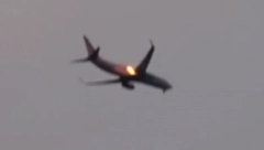 GUSKE NAPALE AVION! Svi su se uspaničili i počeli da se mole