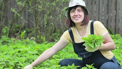 FENOMENALNA Kopriva, buket zdravlja koji možete ubrati na svakom koraku, EVO koje BLAGODETI ima i šta sve sadrži