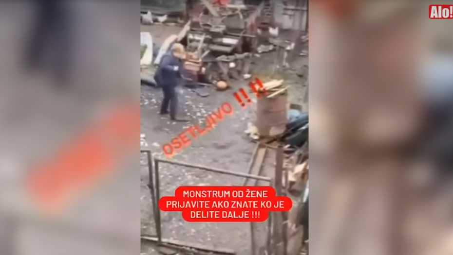 BRUTALNO NASILJE NAD ŽIVOTINJAMA Pas bespomoćno jauče dok ga žena hladnokrvno udara (UZNEMURUJUĆI VIDEO)