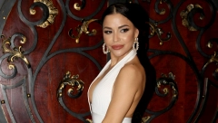 ZVEZDA GRANDA SE USELILA U NOVI DOM Stan u Beogradu na vodi puca od luksuza, a pevačica u njemu ugostila posebnog muškarca